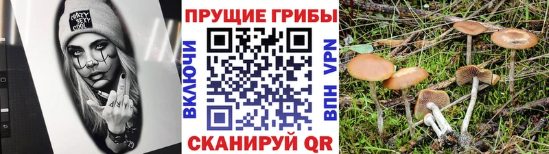 Псилоцибиновые грибы мухоморы  Кирс 