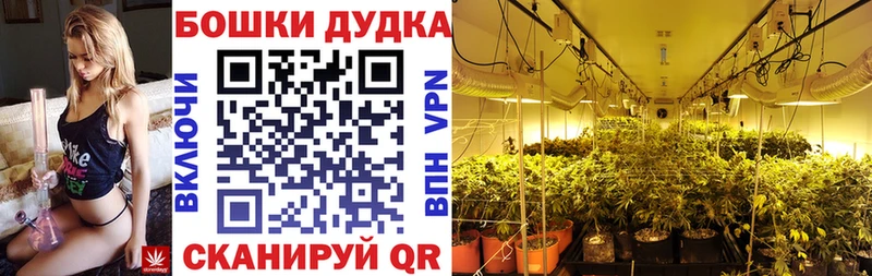 мега как войти  Кирс  МАРИХУАНА LSD WEED  цены  